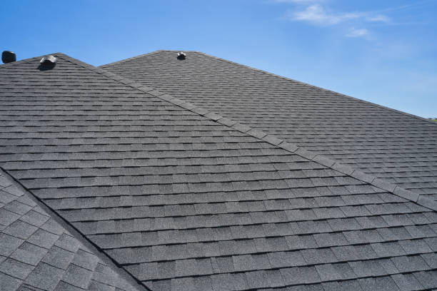 Best Roof Leak Repair  in Davisboro, GA